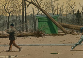 Cartolina di Andr Juillard : Tour Eiffel du bois de Boulogne aprs la tempte