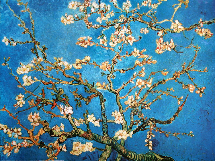 Vincent Van Gogh poster : Almond Branch in bloom, 1890