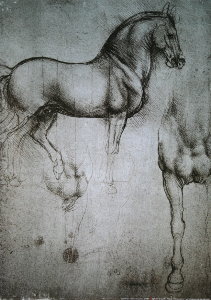 Leonardo Da Vinci poster, Study of the horse