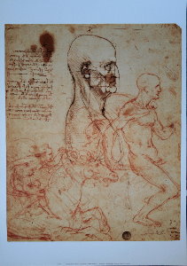 Affiche De Vinci, Etude de la physionomie humaine