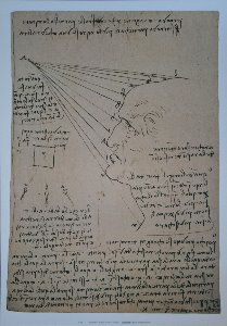 Leonardo Da Vinci poster, Study of the human profile