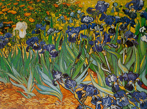 Lmina Van Gogh, Los Lirios, 1889