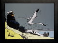 Corto Maltese (Hugo Pratt) framed print : Corto Maltese sur la dune