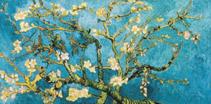Toile Vincent Van Gogh : Branche damandier en fleur
