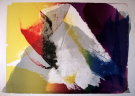Paul JENKINS : Lithographie originale sign�e et num�rot�e : 1976