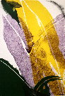 Paul JENKINS : Lithographie originale sign�e et num�rot�e : Seeing Voice Welsh Heart 6