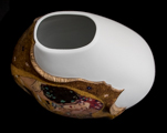 Vase Gustav Klimt en porcelaine : Le baiser, dtail n8