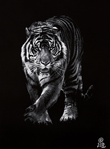 Toile de Sophie Delcaut : Tigre