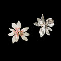 Boucles d'oreilles Louis C. Tiffany : Magnolia blanc et rose (détail))