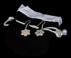 Louis C. Tiffany earrings : Magnolia, (velvet purse))