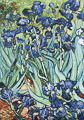 Cartolina Van Gogh