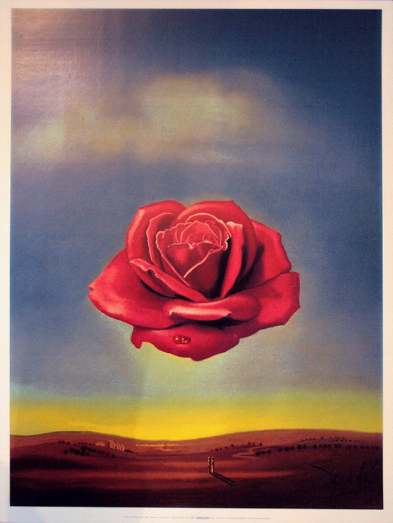 Lámina Salvador Dali, La Rosa Meditativa, 1958