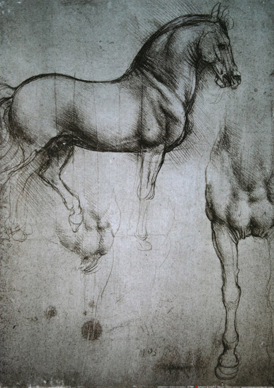 Leonardo Da Vinci poster print, Study of the horse