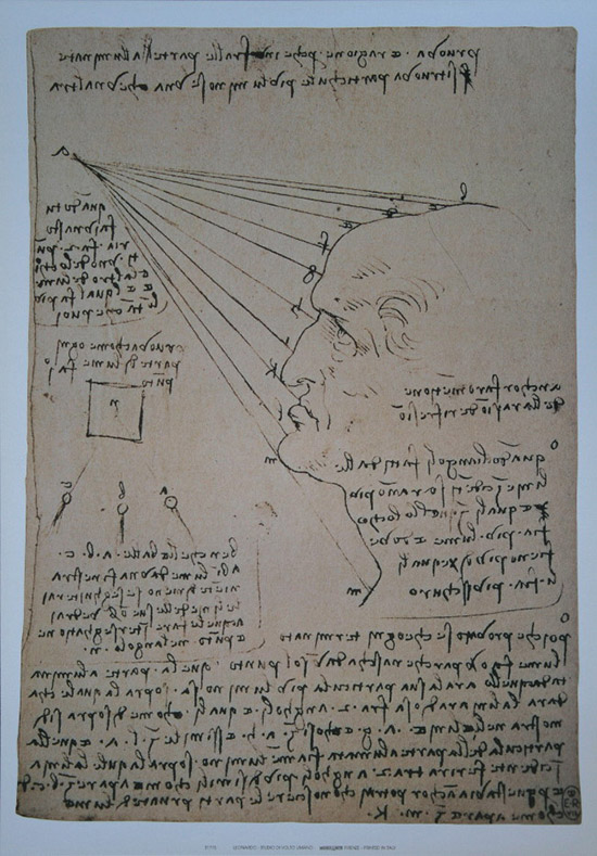 Stampa Leonardo Da Vinci, Studio del profilo del viso