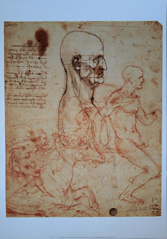 Stampa Leonardo Da Vinci, Studio della fisionomia umana
