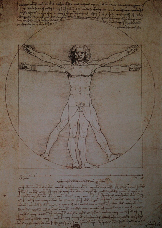 Lámina Leonardo Da Vinci, Hombre de Vitruvio, 1492