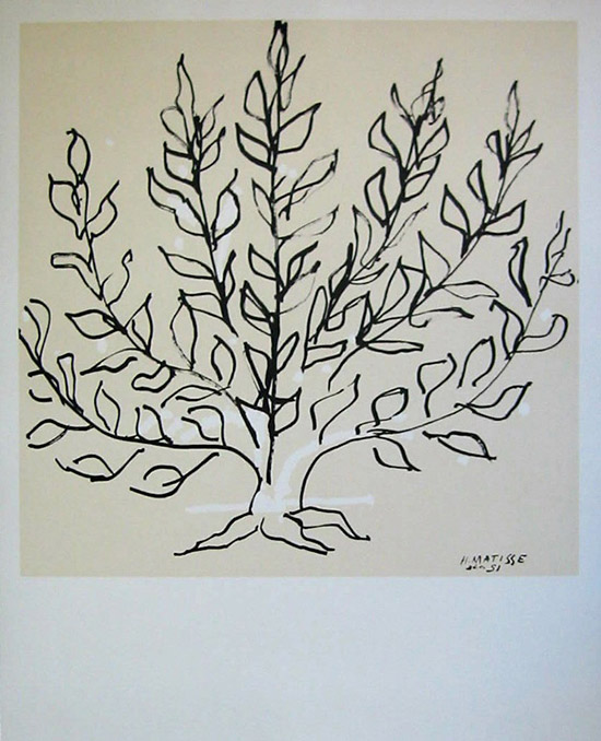Lithographie Henri Matisse : Le buisson, 1951