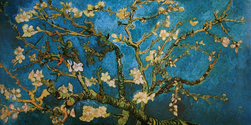 Beige Variation DìMò ART Stampa su Carta Poster Vincent Van Gogh Van Gogh Deco – Mandorlo in Fiore Misura 40x30 CM 15,75x11,81 Inches 
