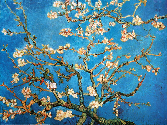 Lámina Vincent Van Gogh, Rama de almendro en flor, 1890