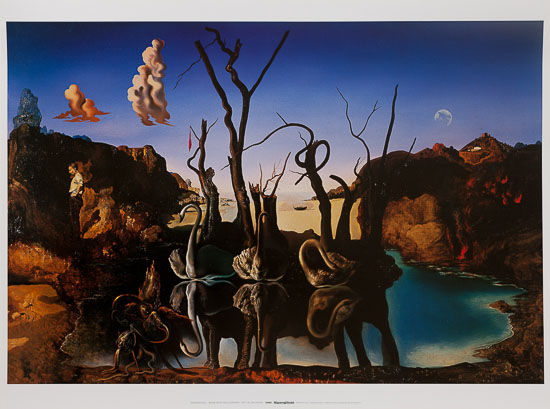 Stampa Salvador Dali, Cigni che riflettono elefanti, 1937