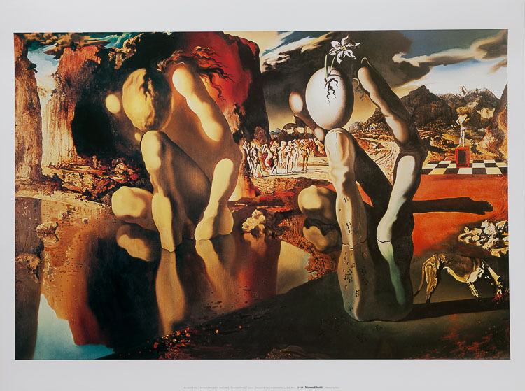 precedente hecho Descodificar Lámina Salvador Dali : La metamorfosis de Narciso, 1937