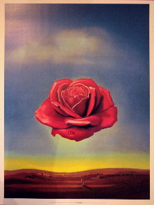 Salvador Dali print, The Meditative Rose, 1958