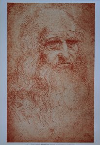 Leonardo Da Vinci poster, Self-portrait