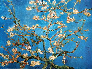 Vincent Van Gogh print, Almond Branch in bloom, 1890