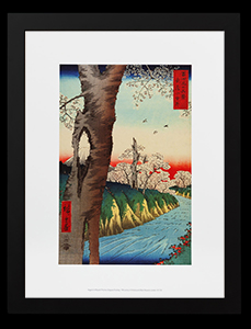 Hiroshige framed print : Koganei in Musashi Province