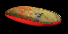 Claude Monet Spectacle Case : Poppy Field (Detail 1)