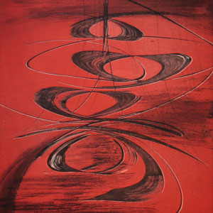 Biography of Terry Haass