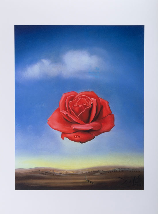 Salvador Dali poster print, The Meditative Rose, 1958