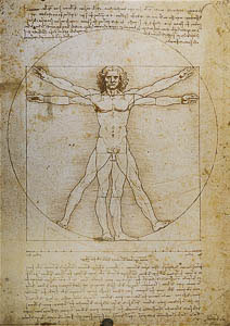 Affiche Léonard De Vinci : L'homme de Vitruve, 1492
