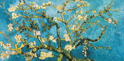 Canvas Vincent Van Gogh, Almond Branch in bloom
