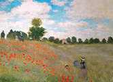 Rompecabezas Claude Monet : Amapolas