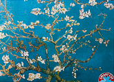 Puzzle Vincent Van Gogh : Branche d'amandier en fleur, 1000p
