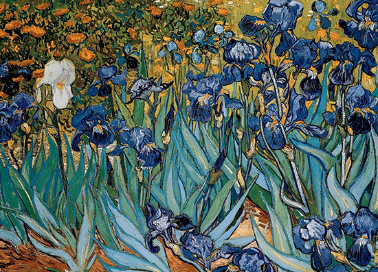 Puzzle Vincent Van Gogh : Iris
