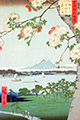 Puzzle en bois Hiroshige : Pommiers en fleurs, 250p (Michele Wilson)
