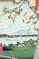 Rompecabezas de madera Hiroshige : Reflets du Mont Fuji (Michele Wilson)