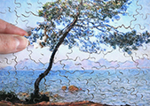 Rompecabezas de madera Claude Monet : Cap d'Antibes (Michele Wilson)