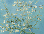 Puzzle en bois Van Gogh : Branches d'amandier, 250p (Michele Wilson)