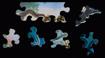 Puzzle per bambini : pezzi di legno : Florence Magnin : La streghetta