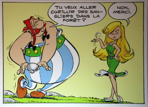 Asterix canvas print, Non, Merci